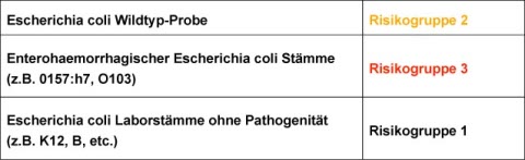 Risk Assessment Example 2