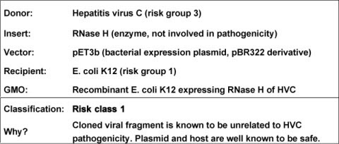 Risk Assessment Example 3